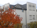 belchdach2.jpg